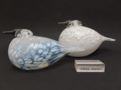 Snow Dove & Finch | Chlas Atelier