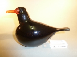 Blackbird red bill ( male ) | Chlas Atelier
