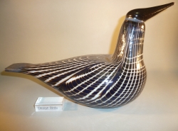 Black Throated Diver - Kuikka | Chlas Atelier