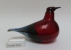 thumb Tanager Scarlet - CMOG 2019 thumb | Chlas Atelier