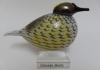 thumb Yellow rumped warbler CMOG 2018 thumb | Chlas Atelier