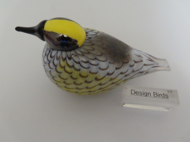 Yellow rumped warbler CMOG 2018 | Chlas Atelier