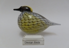 thumb Yellow rumped warbler CMOG 2018 thumb | Chlas Atelier