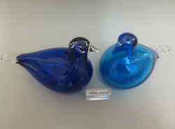 Kustvogel set - Sinikahlaaja blauw en Turquoise | Chlas Atelier