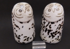 thumb Snow owl - Tunturipöllö thumb | Chlas Atelier