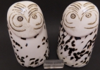 thumb Snow owl - Tunturipöllö thumb | Chlas Atelier