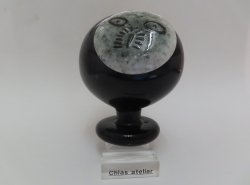 Nacht Uil donker grijs  | Chlas Atelier