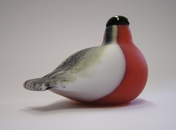 Bullfinch - Punatulkku | Chlas Atelier