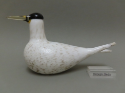 Artic Tern 2000 | Chlas Atelier