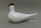 thumb Artic Stern 2000 thumb | Chlas Atelier