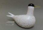 thumb Artic Stern 2000 thumb | Chlas Atelier
