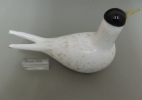 thumb Artic Stern 2000 thumb | Chlas Atelier