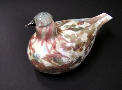 Cucunor 2008 | Chlas Atelier