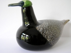 Duck male - Sorsauros | Chlas Atelier