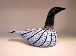 Small Loon - Pikka Kuikka | Chlas Atelier