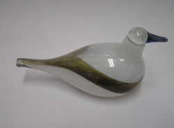 Stellers Eider 2006 | Chlas Atelier