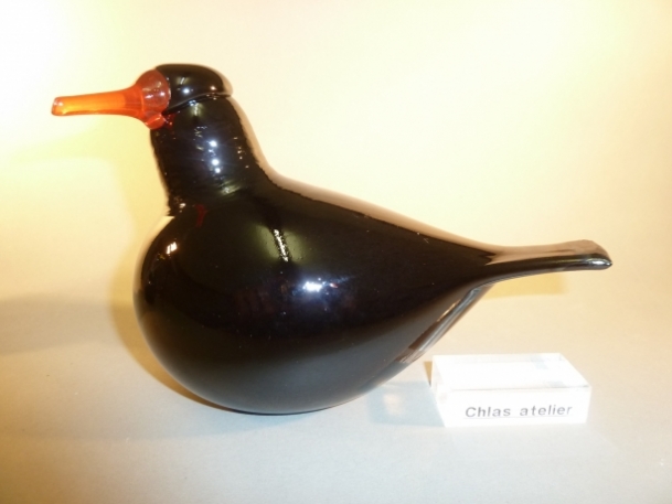 Blackbird red bill ( male ) | Chlas Atelier